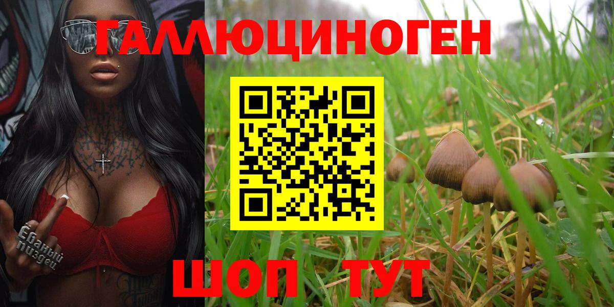 Дубна  Галлюциногенные грибы Cubensis  Вход с VPN 